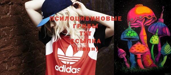 соль ск Алексеевка